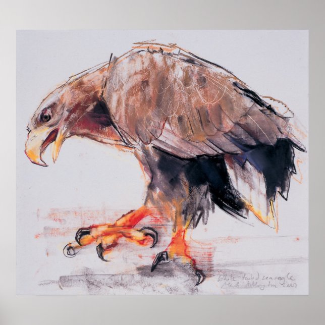 Raptor 2001 poster (Front)