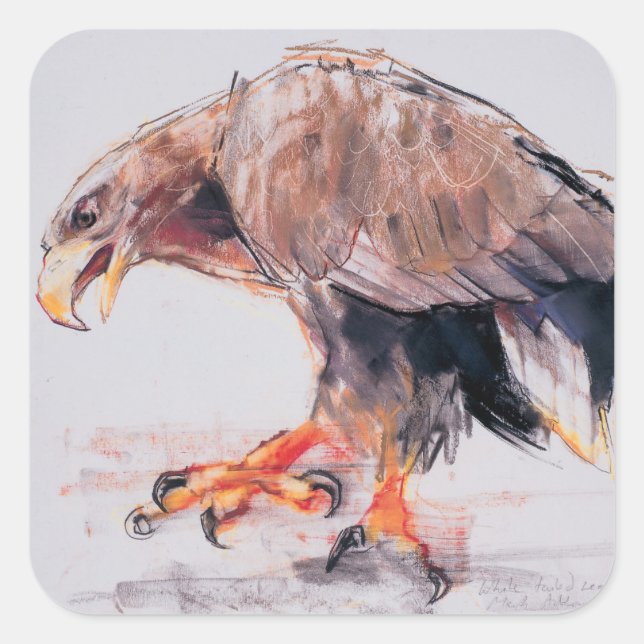 Raptor 2001 square sticker (Front)