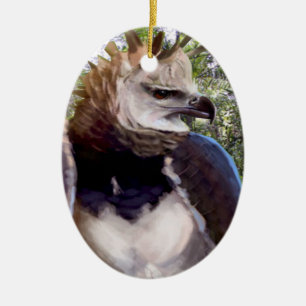 "Raptor" Ceramic Ornament