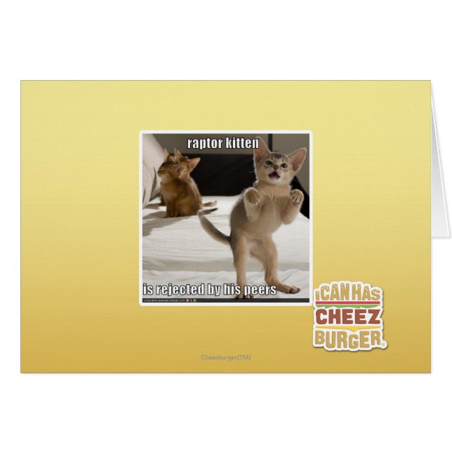 Raptor Kitten (Front Horizontal)