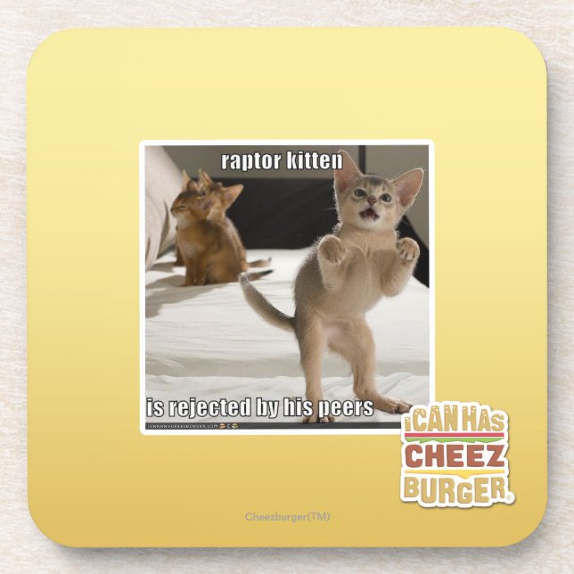 Raptor Kitten Coaster (Front)