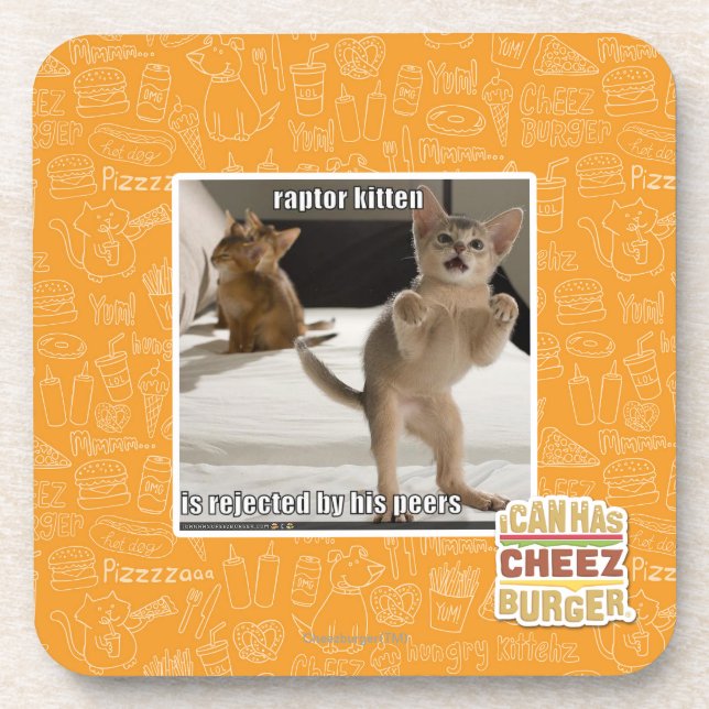 Raptor Kitten Coaster (Front)