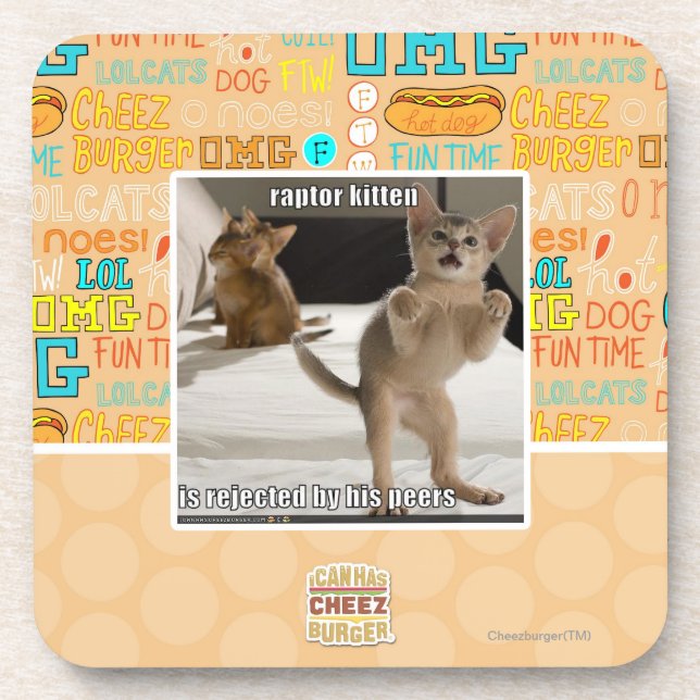 Raptor Kitten Coaster (Front)