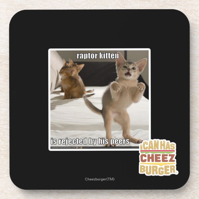 Raptor Kitten Coaster (Front)