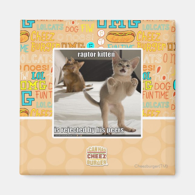 Raptor Kitten Magnet (Front)