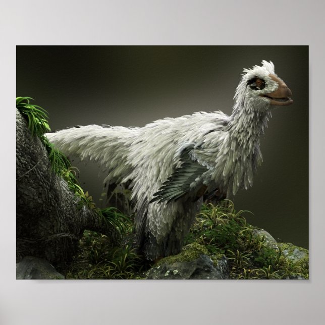 Raptor with feathers poster (Front)