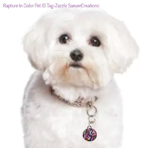 Rapture In Colour Pet Tag