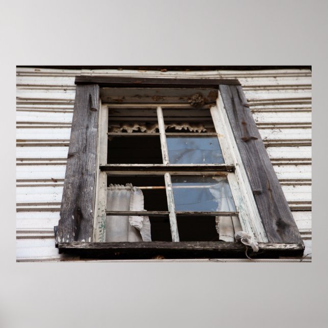 Rapunzel's Decay Poster (Front)