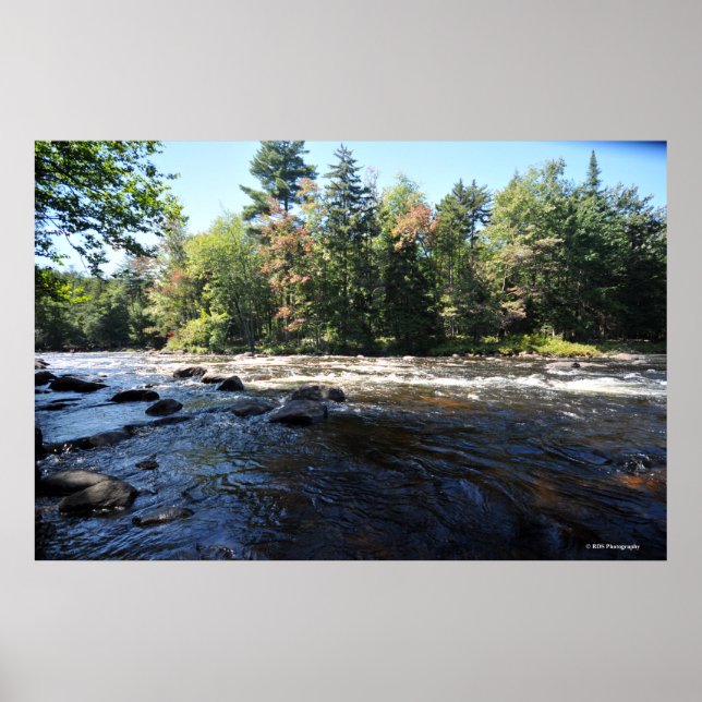 Raquette river in the Adirondack. print 08 258 (Front)