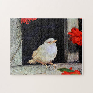 RARE albino robin Jigsaw Puzzle