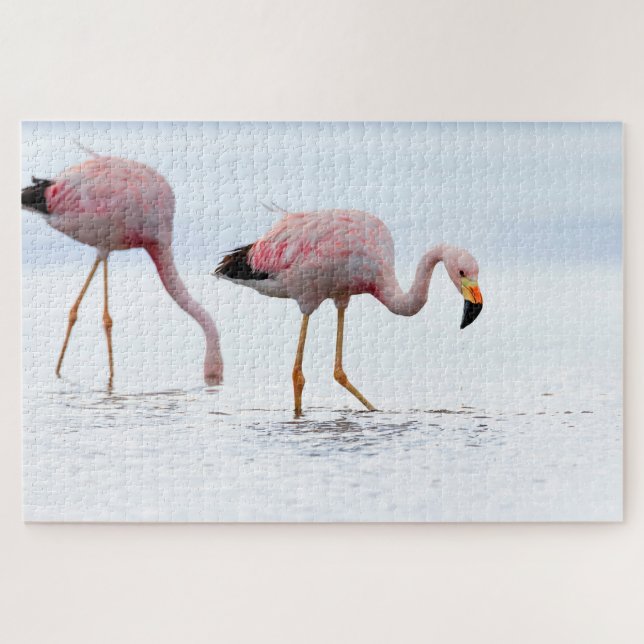 Rare Beautiful Andean Flamingo Pink Bird Chile Jigsaw Puzzle (Horizontal)