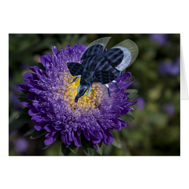 Rare Blue Elephant Bug (Front Horizontal)