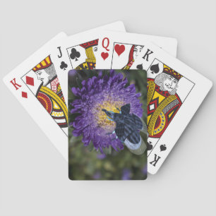 Rare Blue Elephant Bug Playing Cards