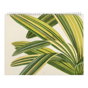 Rare Botanical Vintage Leaf Illustration Calendar