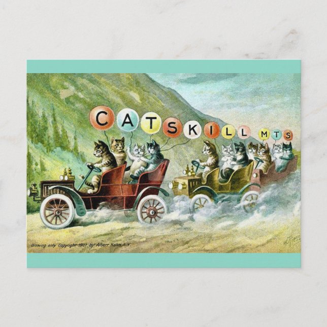 Rare Catskill Mountain Cats Postcard (Front)