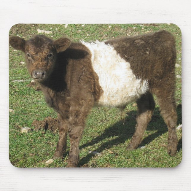 Rare Dun Belted Galloway Calf Mouse Pad (Front)