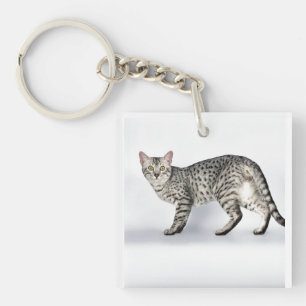 Rare Egyptian Mau Cat Key Ring