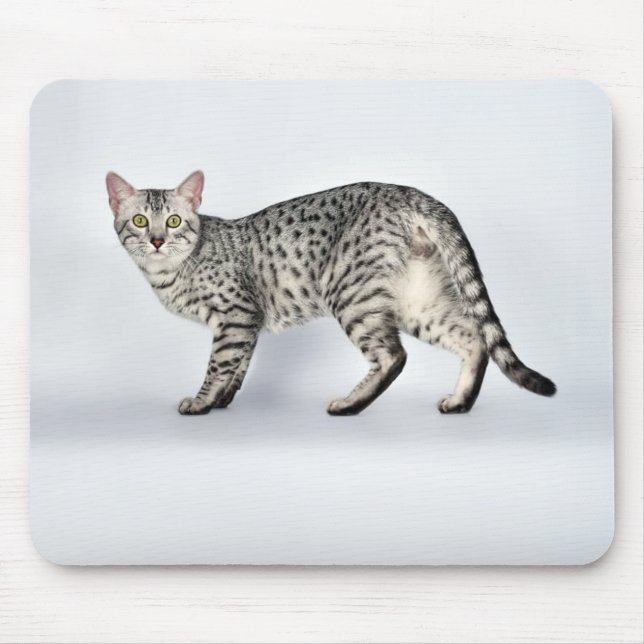 Rare Egyptian Mau Cat Mouse Pad (Front)