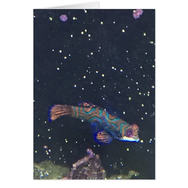 Rare Exotic Fish Card (Front)