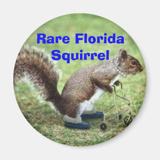 Rare Florida Squirrel Magnet