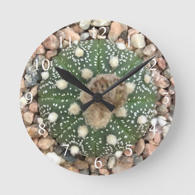 Rare Green Astrophytum Asterias Pattern Cactus Round Clock (Front)