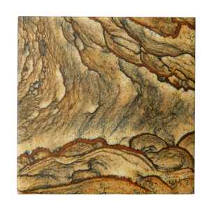 Rare landscape jasper closeup tile