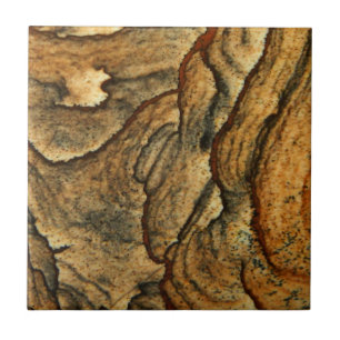Rare landscape jasper macro photography tile