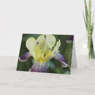 Rare Orchid Greeting Card