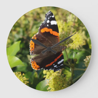 Rare Red Admiral Butterfly in the Sun on Flowers Large Clock
