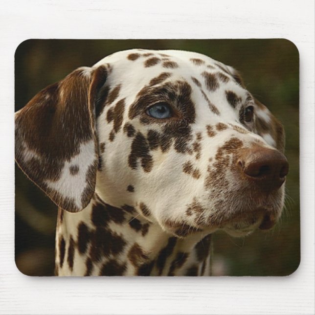 Rare Spotted Brown Dalmatian | Liver Dalmation Mouse Pad (Front)