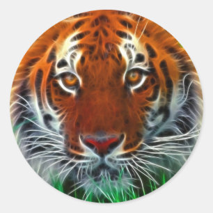 Rare Sumatran Tiger from Indonesia Classic Round Sticker