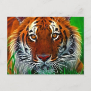 Rare Sumatran Tiger from Indonesia Postcard