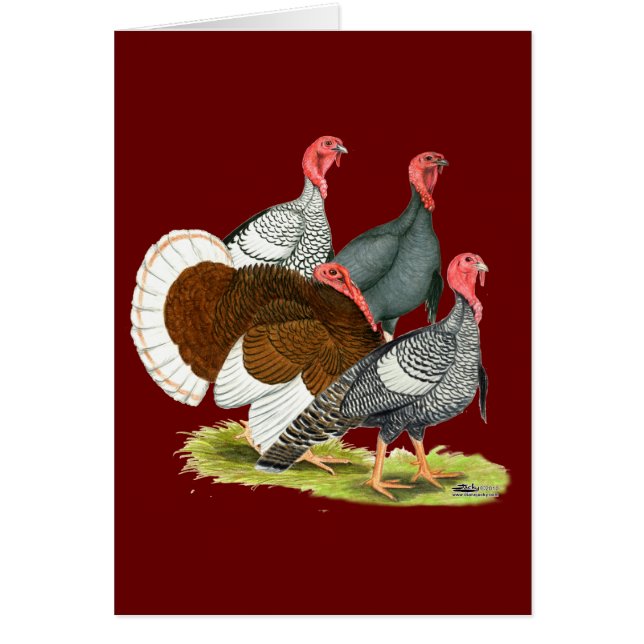 Rare Turkey Quartet (Front)