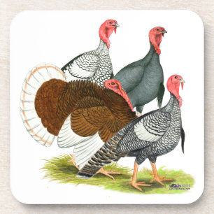 Rare Turkey Quartet Coaster