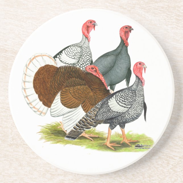 Rare Turkey Quartet Coaster (Front)