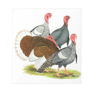 Rare Turkey Quartet Notepad