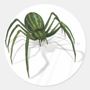 Rare Watermelon Spider Classic Round Sticker