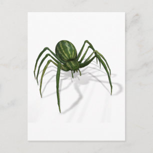 Rare Watermelon Spider Postcard