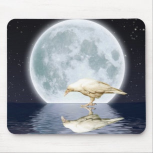 Rare White Raven ~ 2010 Mouse Pad