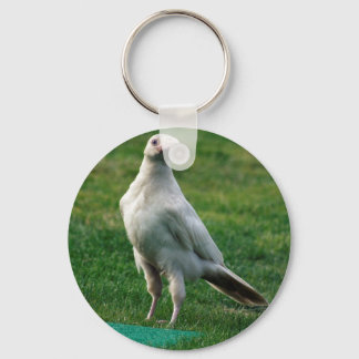 Rare White Raven Gifts Key Ring