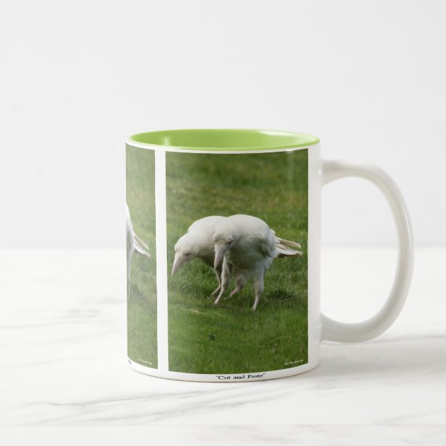 Rare White Raven Wildlife Photo Two-Tone Coffee Mug (Right)