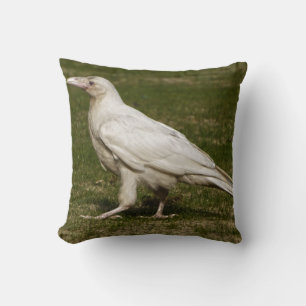 Rare White Raven Wildlife Photography Cushion