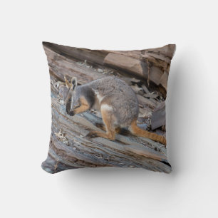 Rare Yellow-footed rock-wallaby with Joey Cushion