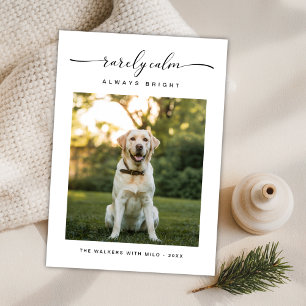 Rarely Calm Always Bright Cute Dog Photo Christmas Holiday Card