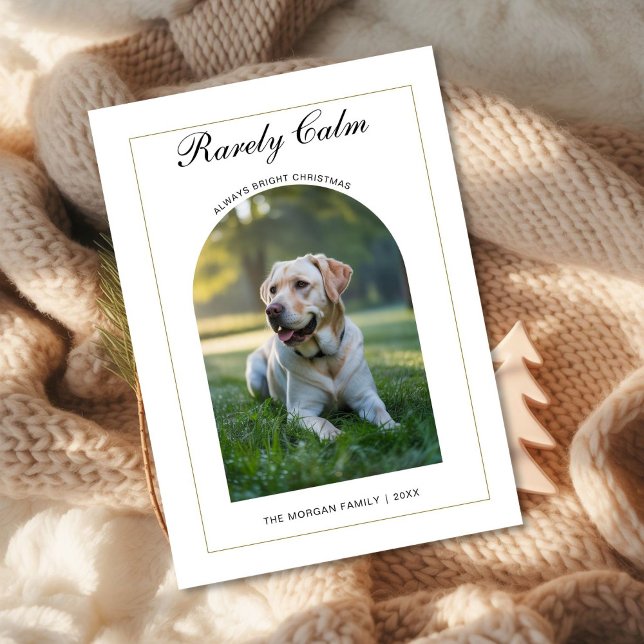 Rarely Christmas Cute dog Simple Photo card (Creator Uploaded)