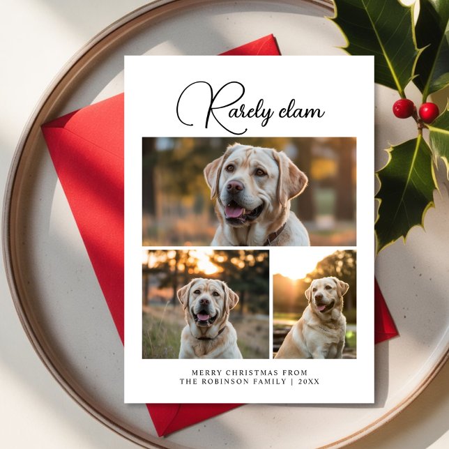 Rarely Christmas in the Snow Winter Dog Photo card (Creator Uploaded)