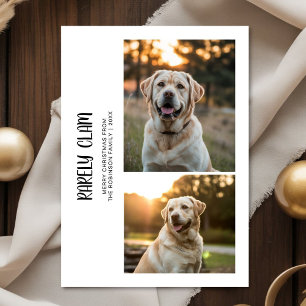 Rarely Christmas Outdoor 2 Dog Photo Card