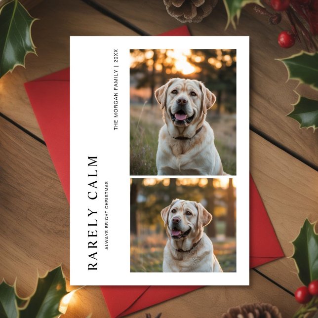 Rarely Christmas Park Outdoor Dog Holiday card (Creator Uploaded)