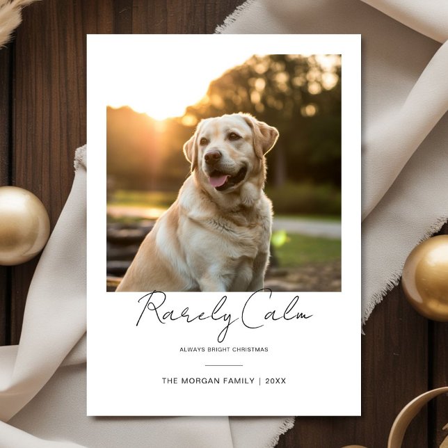 Rarely Christmas Santa Hat Cut Dog  Photo card (Creator Uploaded)