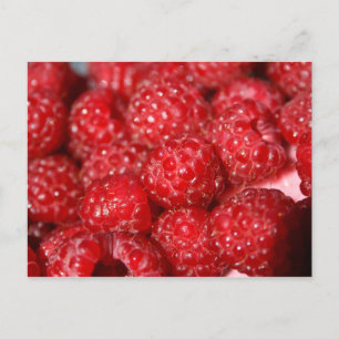 rasberry fruit closeup food design picture postcard